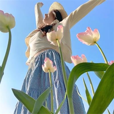 菊石